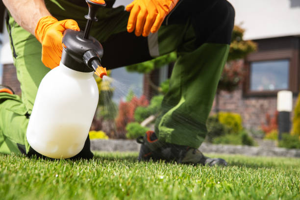 Best Pest Inspection Near Me  in Independent Hill, VA