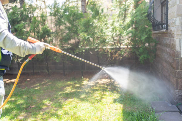 Best Pest Control for Homes  in Independent Hill, VA