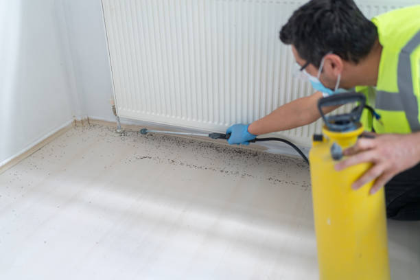 Reliable Independent Hill, VA Pest Control Solutions